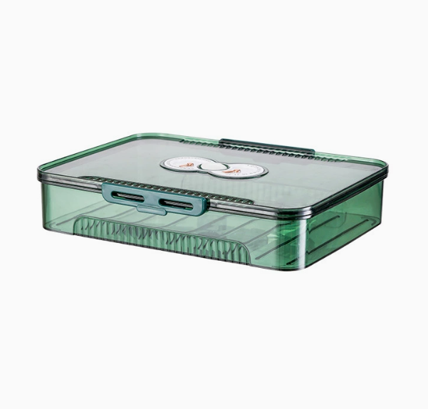 Transparent Dumpling Storage Box