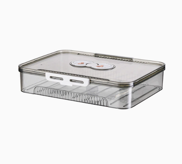 Transparent Dumpling Storage Box